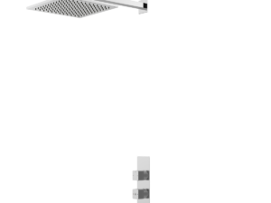Encore II Concealed Shower